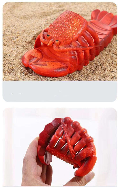 Comfy Lobster Slippers for Women and Men-nbharbor